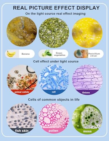 Woehrsh Microscope for Adults WF10x and WF25x eyepieces, 40X-2000X Magnification USB Camera, Microscope for Adults Suitable for Laboratory School Home Education.