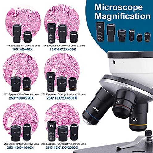 BEBANG Monocular Microscope for Adults Students,40X-2000X Magnification,Dual LED Beginners Kids Microscopes with Science Kits,Phone Adapter,Carrying Case,AC Adapter,15 Slides for Lab Class Study