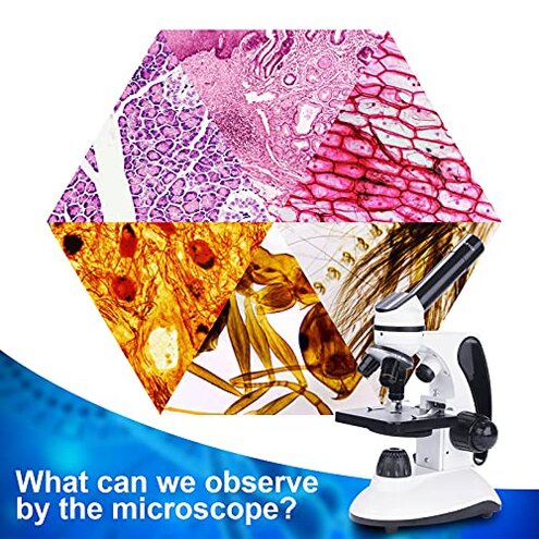 BEBANG Monocular Microscope for Adults Students,40X-2000X Magnification,Dual LED Beginners Kids Microscopes with Science Kits,Phone Adapter,Carrying Case,AC Adapter,15 Slides for Lab Class Study