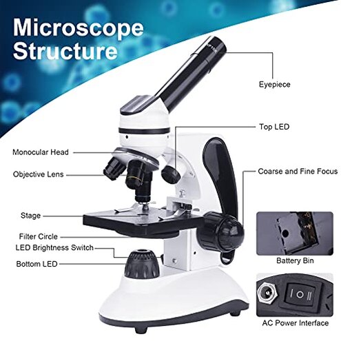 BEBANG Monocular Microscope for Adults Students,40X-2000X Magnification,Dual LED Beginners Kids Microscopes with Science Kits,Phone Adapter,Carrying Case,AC Adapter,15 Slides for Lab Class Study