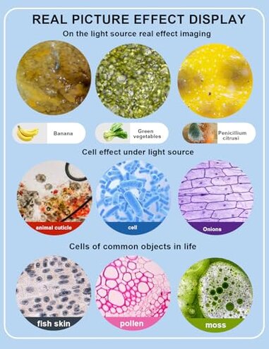 Adult Trinocular Microscope WF10x and WF25x Eyepieces 40X-5000X Magnification, Digital Lab Trinocular Compound LED Microscope (Trinocular Microscope with Electronic Eyepieces)