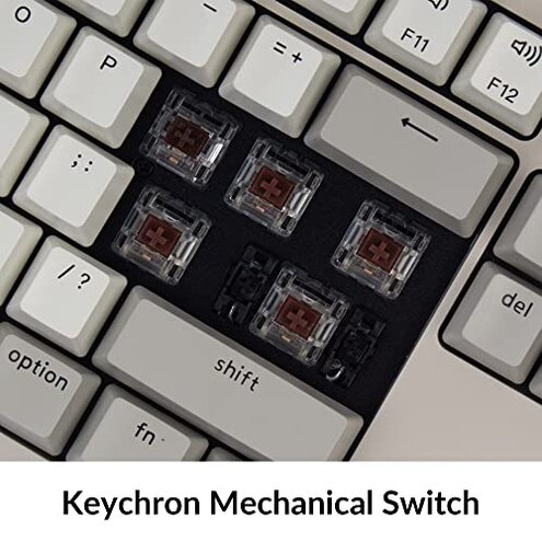 Keychron C2 Full Size Wired Mechanical Keyboard Compatible with Mac, Keychron Brown Switch, 104 Keys ABS Retro Color Keycaps Gaming Keyboard for Windows, USB-C Type-C Braid Cable