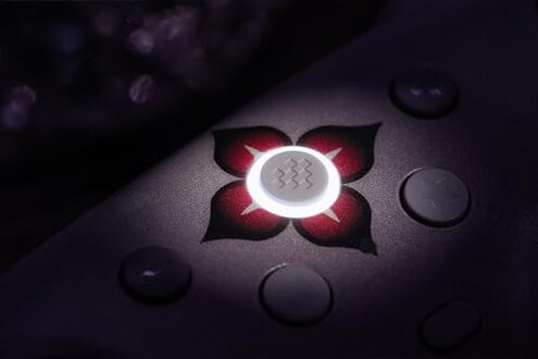 8BitDo Ultimate 2 Wireless Controller for Windows, Apple, Steam & Android, TMR Joysticks, Hall/Tactile Triggers, Motion Control,1000Hz Polling Rate -Evernight(Officially Licensed by Honkai: Star Rail)