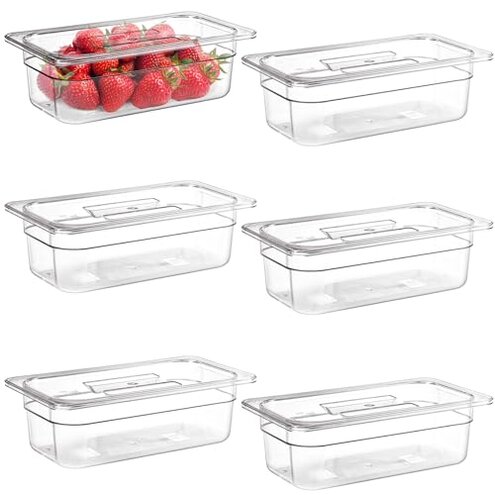 Bekith Lid Fit & Durability Problems — Why Avoid Review