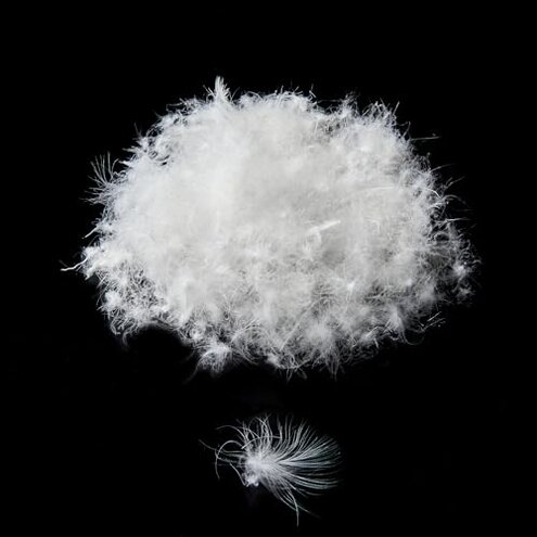 ROSE FEATHER Bulk Goose Down Feather Stuffing & Fill &ndash; Hypoallergenic Pillow Filling, Repair, Restuff, Fluff for Couch Cushions, Comforters, Jackets50/50-1/2Lb DIY