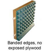 LP Executive Craps Practice Table