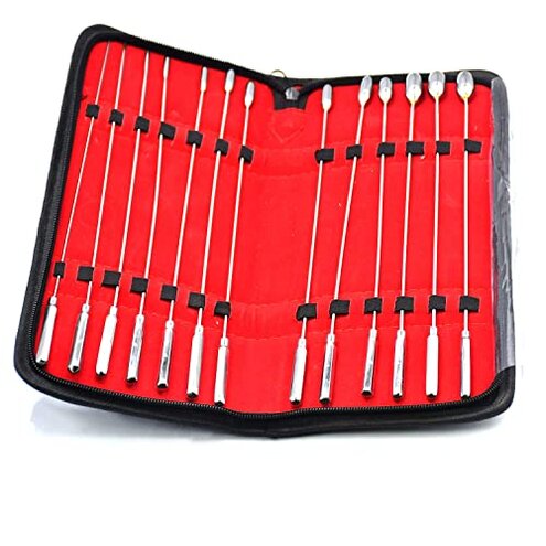 AAProTools Bakes Sounds 13 Pcs Set All Brass Chrome Plated for Students' Educational Purposes.