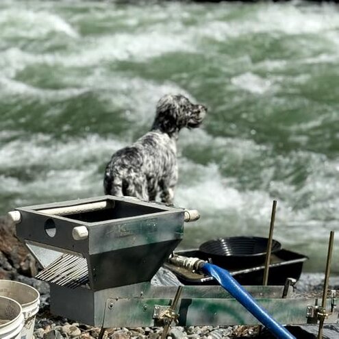 Bobby Nugget Gold Paydirt | Gold Rush Panning Concentrates unsearched & Added | Gold Prospecting Pay Dirt + Guaranteed Lucky&rsquo;s Bonus Bag