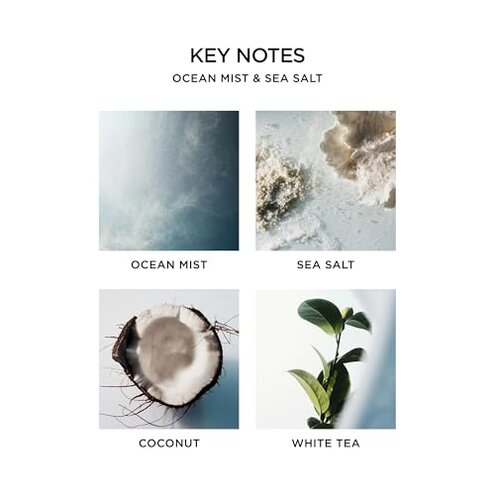 NEST New York Scented Classic Candle, Ocean Mist & Sea Salt - 8.1 oz - Up to 60-Hour Burn Time - Reusable Glass Vessel