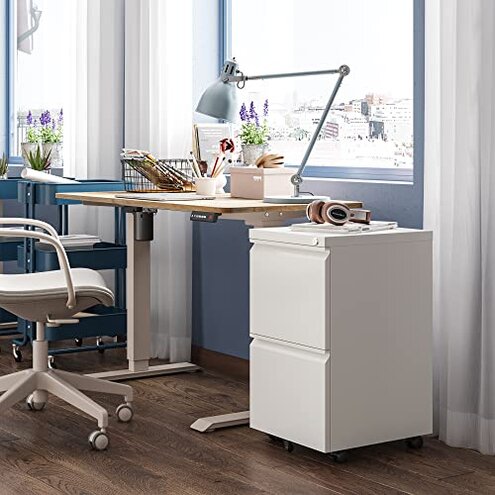 DEVAISE 2 Drawer Mobile File Cabinet with Lock, Commercial Vertical Filing Cabinet for Home Office, White