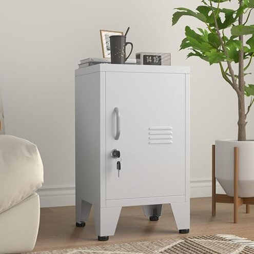 PAOFIN Locker Assembly Issues Review: Why Buyers Hesitate