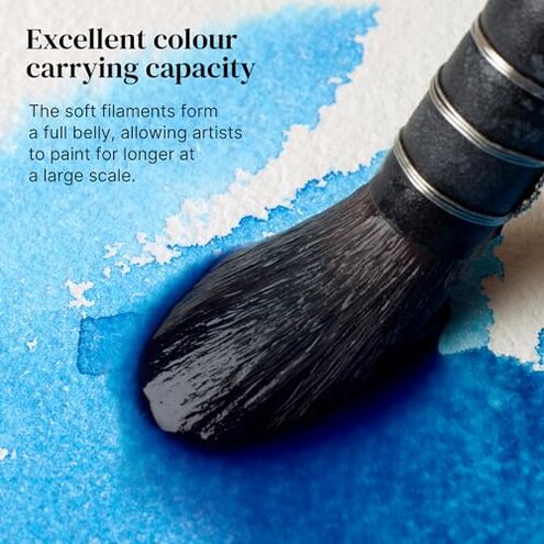 Winsor & Newton Professional Watercolour Synthetic Squirrel Quill Brush, 6, us-0 / asia size s