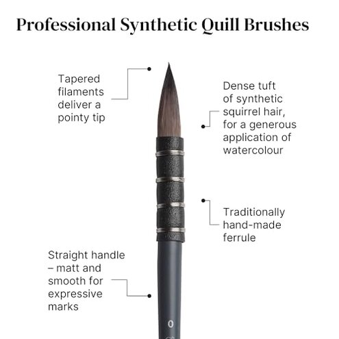Winsor & Newton Professional Watercolour Synthetic Squirrel Quill Brush, 6, us-0 / asia size s