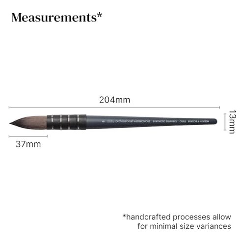 Winsor & Newton Professional Watercolour Synthetic Squirrel Quill Brush, 6, us-0 / asia size s