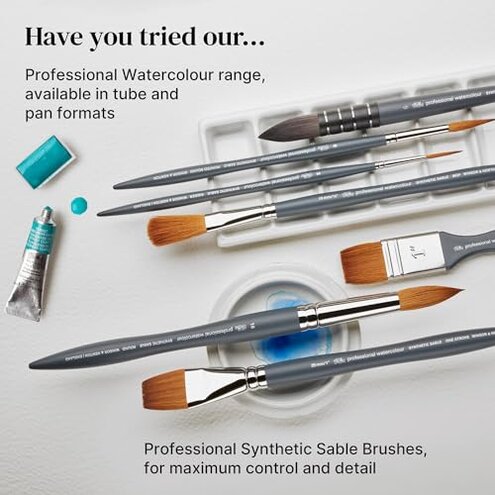 Winsor & Newton Professional Watercolour Synthetic Squirrel Quill Brush, 6, us-0 / asia size s