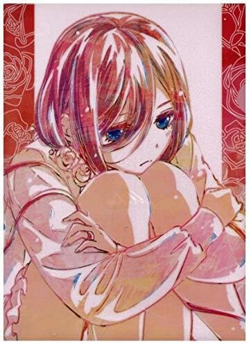 Negi Haruba Acrylic Figure Size & Color Issues Review