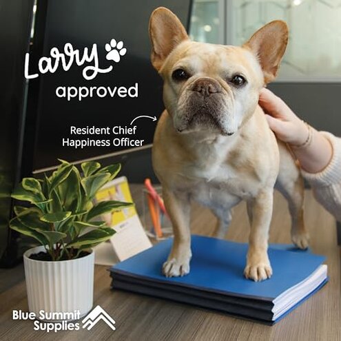 10 Blue Classification Folders with Dividers - Employee Personnel File Folders &ndash; 2'' Tyvek with Two Prong File Folders for Medical, Law Files - Pressboard Classification Folders 2 Dividers Letter Size