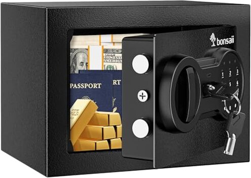 Bonsaii Safe Lockouts, Key & Power Problems — Review