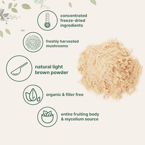 Micro Ingredients Organic Lion’s Mane Mushroom Powder, 16oz | Pure Fruiting Body Superfood | Supports Brain, Focus, Energy & Immune Health | Great for Smoothies & Coffee | Filler Free, Vegan, Non-GMO