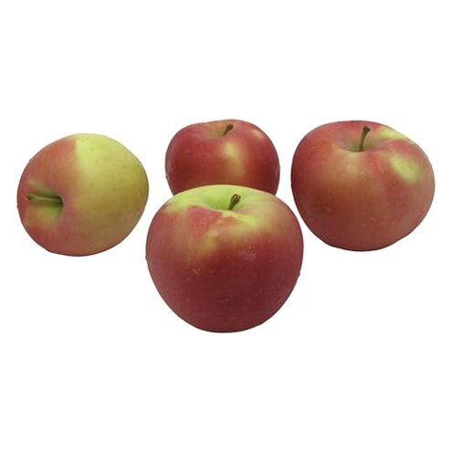 Kauffman Fuji Apples Bruising Risk Issues Review