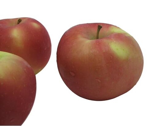 Kauffman Orchards Fresh Fuji Apples, Hand-Picked, Non-Waxed, Grown in Pennsylvania (Box of 16 Apples)