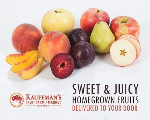 Kauffman Orchards Fresh Fuji Apples, Hand-Picked, Non-Waxed, Grown in Pennsylvania (Box of 16 Apples)