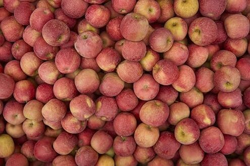 Fresh Pink Lady delicious apples by RawJoy Farms,2 Pound