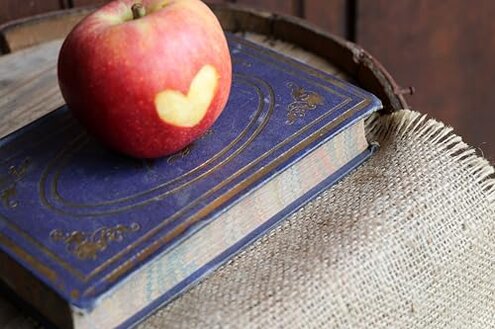 Kauffman Orchards Fresh-Picked Ginger Gold Apples (Box of 8)