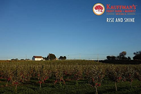 Kauffman Orchards Fresh Mcintosh Apples, Hand-Picked New-Crop Wax-Free Heirloom Macintosh Apples (Box of 48)