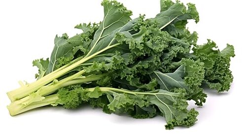 RawJoy Farms High Price & Freshness Issues Review