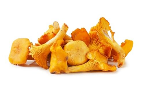 Wild Golden Chanterelle Spoilage Risk: Why Avoid Review