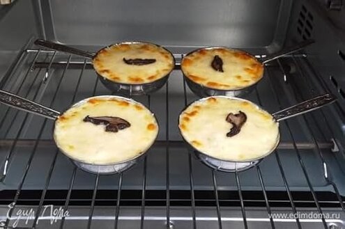 Whole Mushrooms Porcini (Italy), Fresh, Frozen, 4.4lb