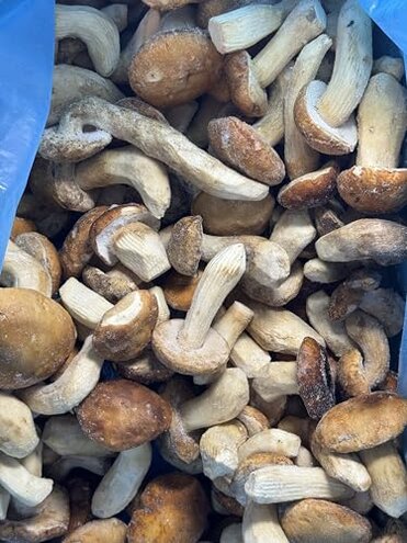 Whole Mushrooms Porcini (Italy), Fresh, Frozen, 4.4lb
