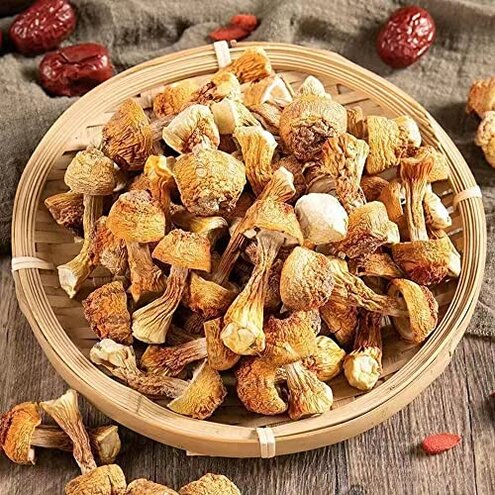 Dried Agaricus Blazei,Agaricus Blazei Murr,himematsutake Mushroom,Agaricus Subrufescens,Agaricus Blazei Murill,ganjisongrong,Almond Mushroom (1000grams)