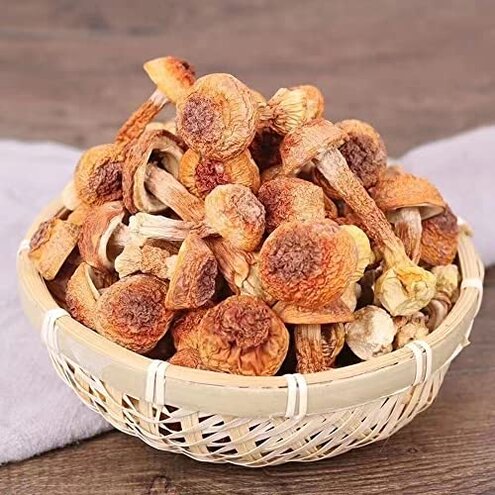 Dried Agaricus Blazei,Agaricus Blazei Murr,himematsutake Mushroom,Agaricus Subrufescens,Agaricus Blazei Murill,ganjisongrong,Almond Mushroom (1000grams)
