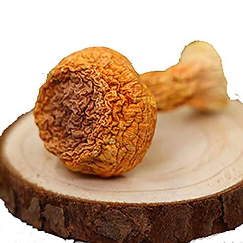 Brazil Mushroom Stale Packaging & Soak Hassles – Review