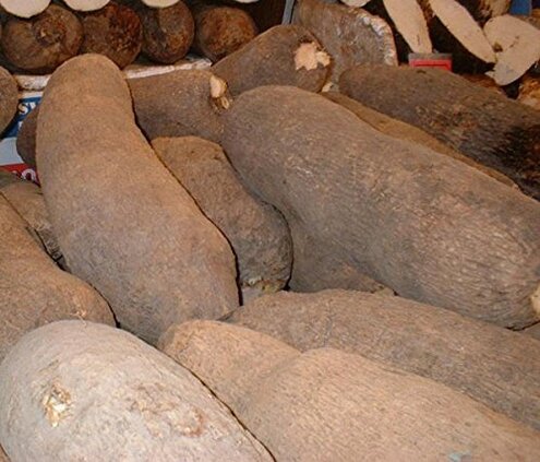 African Yam — Rapid Spoilage Problems: Buyer Review