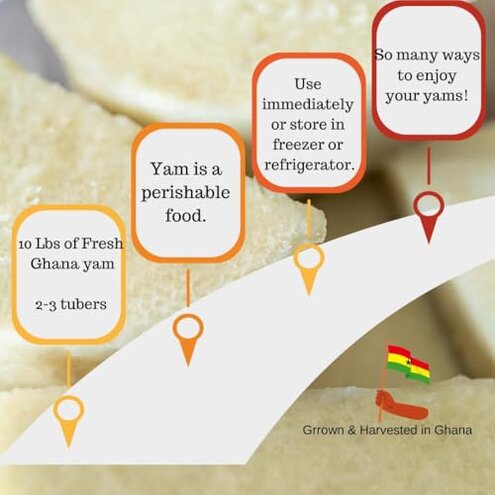 Kovafood Fresh Ghana Yam (2-3 Tubers), 10 Lbs. All Sliced and Cleaned-Cut to Guarantee Freshness upon delivery