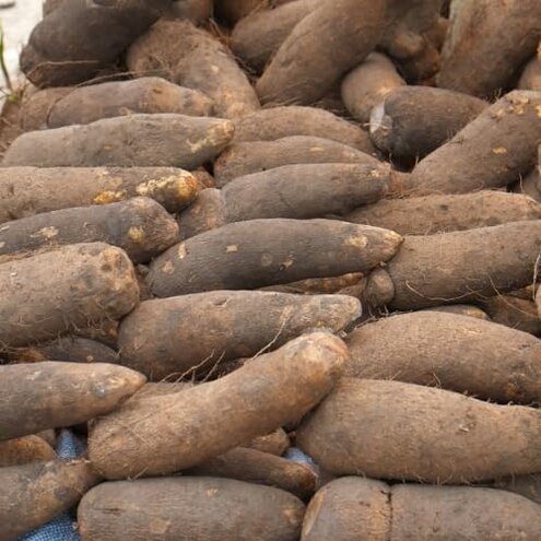 Kovafood Fresh Ghana Yam (2-3 Tubers), 10 Lbs. All Sliced and Cleaned-Cut to Guarantee Freshness upon delivery
