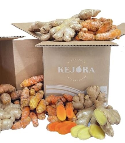 Marketplace Seller Ginger Turmeric Freshness Issues Review