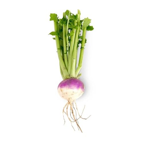 Fresh Turnips, 5 Pounds, Premium Quality Root Vegetables