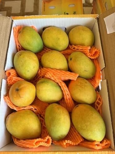 Ratnagiri & Devgad Alphonso Mangoes
