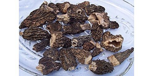 Dried Morel Powder Flavor Loss Issues: Avoiding Buyer Regret