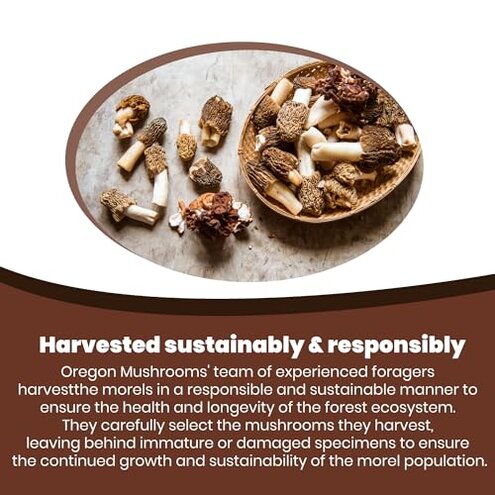 Crater Lake Specialty Foods Dried Morel Mushrooms &ndash; Premium Wild-Crafted, Gourmet Mushrooms, Available in (1 , 2 , 4 , 8)oz, and 1 lb Packs &ndash; Ideal for Soups, Stews, Sauces, Risottos, and More. (1Lb)