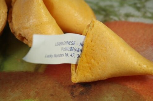 Fortune Cookies Fresh Single Wrap 400 Pcs (1 Box)At D&J Asian Market