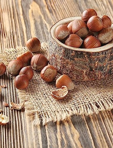 Anna and Sarah Large Oregon Hazelnuts in Shell, 5 Lbs