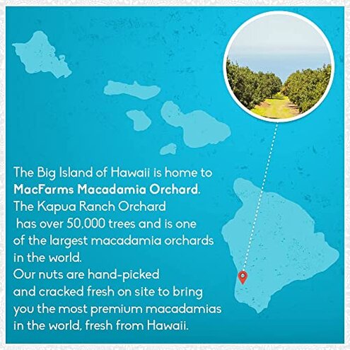 Macadamia Nuts | MacFarms Dry Roasted Macadamia Nuts 24 OZ (1 Pack) - Premium Roasted Nuts with Sea Salt Fresh From Hawaii, Sea Salt Flavored Healthy Snack