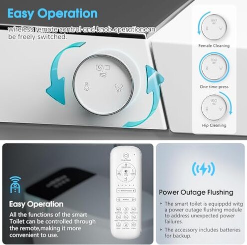 TDH Luxury Smart Toilet, Heated Seat with Warm Water Sprayer & Dryer, Walk Away Auto Flush and Close,One Piece Toilet for Bathrooms with Remote Control