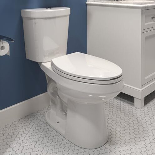 HOROW Toilet: Clogs, Leaks and Installation Issues Review