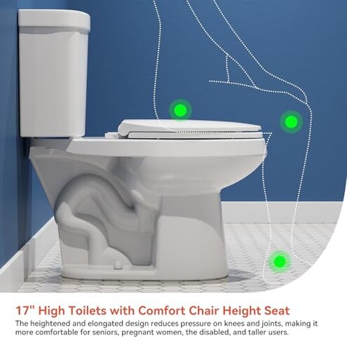 HOROW 17 Inch Tall Toilet, Two-Piece Elongated Toilet with ADA Comfort Chair Height Seat, Powerful 1.1/1.6 GPF Dual Flush, 12" Rough In High Bowl for Seniors, White